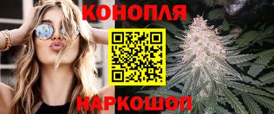 тгк Бийск