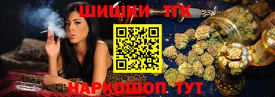 тгк Бийск