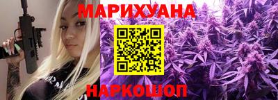 тгк Бийск
