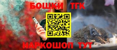 индика Бийск