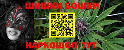 индика Бийск