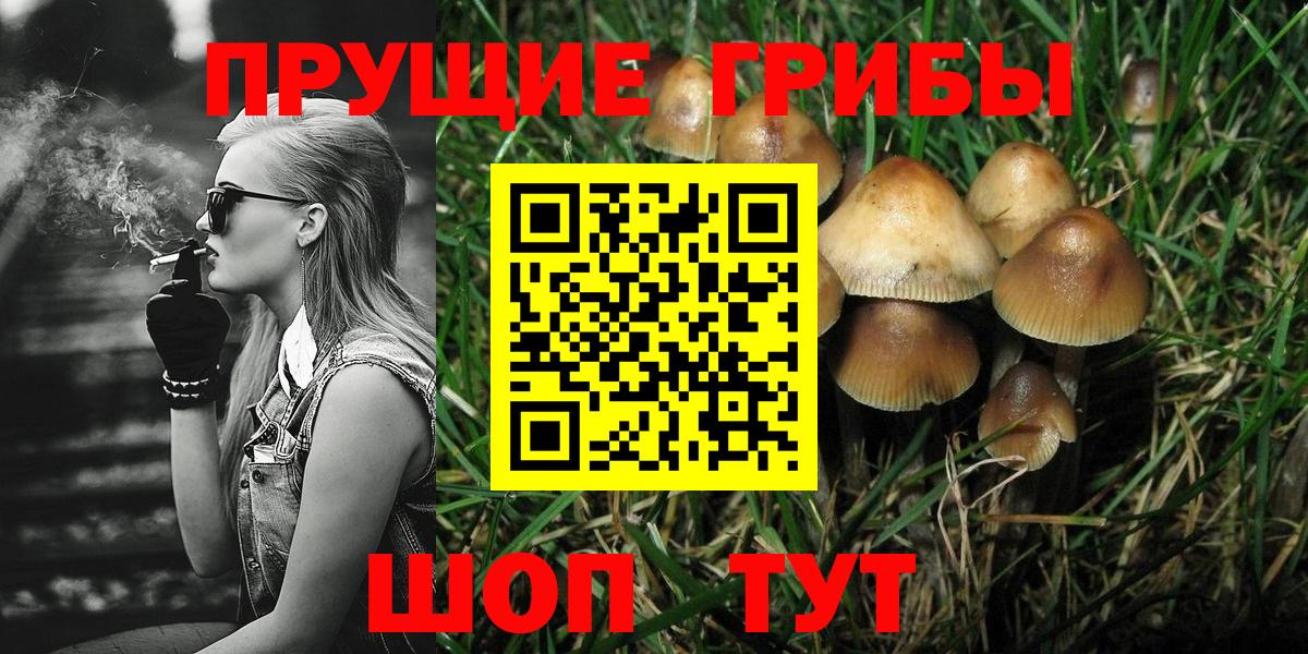 Псилоцибиновые грибы Magic Shrooms  Воркута 