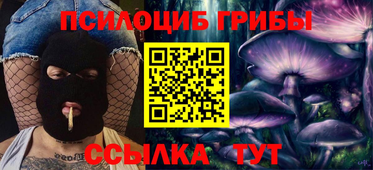 Галлюциногенные грибы мухоморы Воркута
