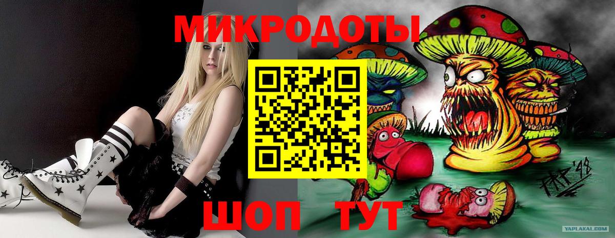 Псилоцибиновые грибы мухоморы Воркута