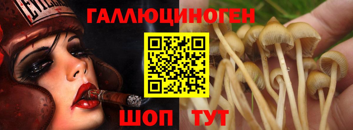 Галлюциногенные грибы Magic Shrooms  Псилоцибиновые грибы GOLDEN TEACHER  Вход с VPN  Воркута 